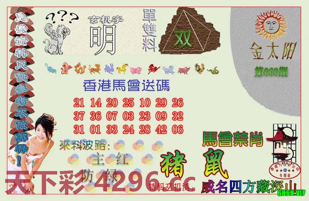 金太阳